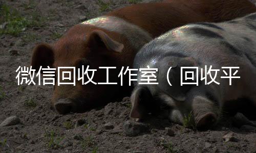 微信回收工24小时靠谱收微信平台作室（回收平台）